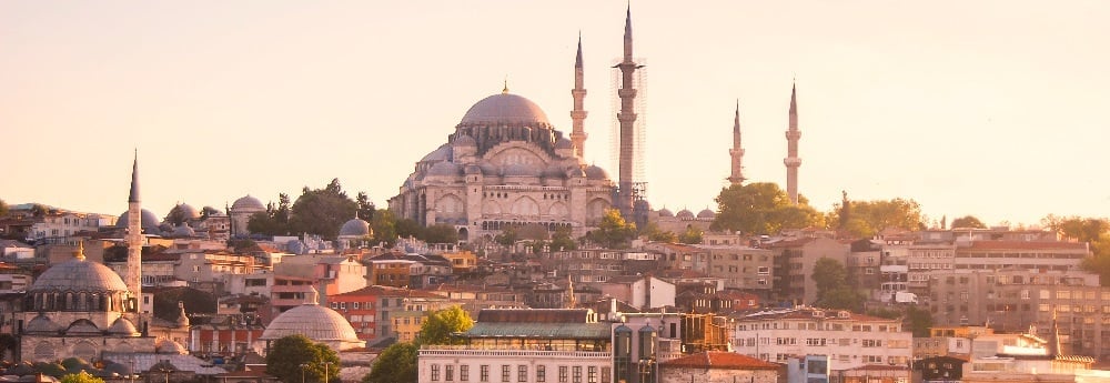 Актуальные программы 2023 года - программы получения гражданства