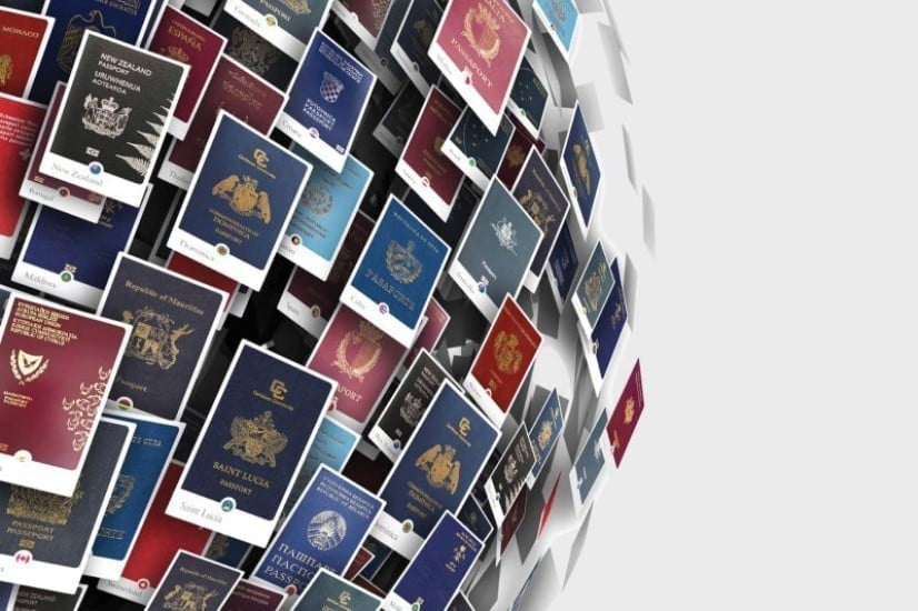 رحلتك مع شركة هانلي وشركائه (The Global Migration)